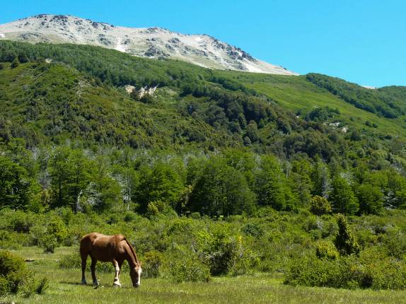 Início da trilha para subir o Cerro Falkner, cruzando uma fazenda, no parque Lanin, na região de San Martín de Los Andes, na Argentina